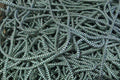 5mm Braided Lead Core Rope in Marine Applications, spooled and tangled for various uses in boating.