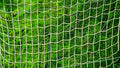 net mending twine green used for effective repairs in a lush green background.