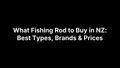 What Fishing Rod to Buy in NZ: Best Types, Brands & Prices