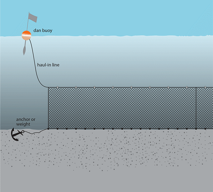 How to Select Your Fishing Nets In NZ 01-09-2025