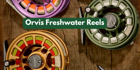 Freshwater Fishing Equipment Guide: Expert Insights for 2026