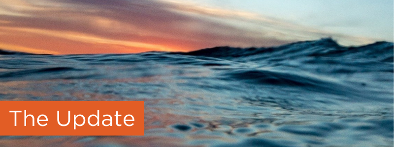 Microplastics in seafood might be less scary than we think, ocean waves at sunset in the background.