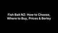 Fish Bait NZ: How to Choose, Where to Buy, Prices & Berley