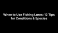 When to Use Fishing Lures: 12 Tips for Conditions & Species