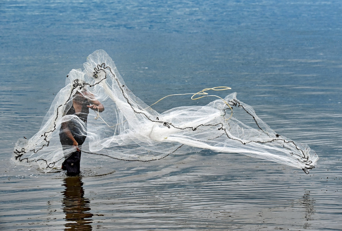 Person casting a fishing net into the water, showcasing skill and technique in a natural setting.