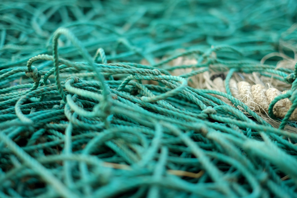6 Clever Ways to Use 3 Inch 0.50mm x 20MD Pacific Island Mesh with vibrant teal ropes and meshing.