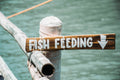 fish feeding signage