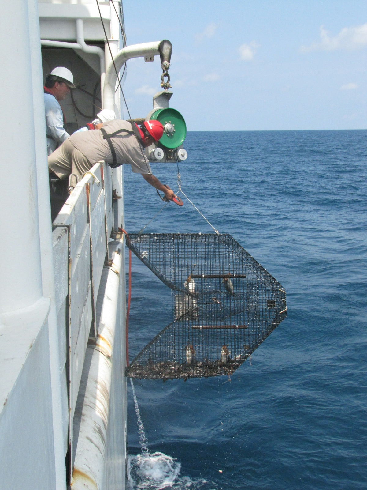 Man using Sea Harvester Berley Bag Standard BERBAG to catch fish from a fishing vessel in the ocean.