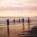 people fishing on beach during daytime