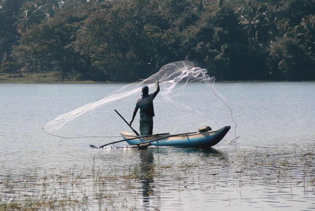 Fisherman casting a net from a boat, showcasing traditional fishing methods on tranquil water.