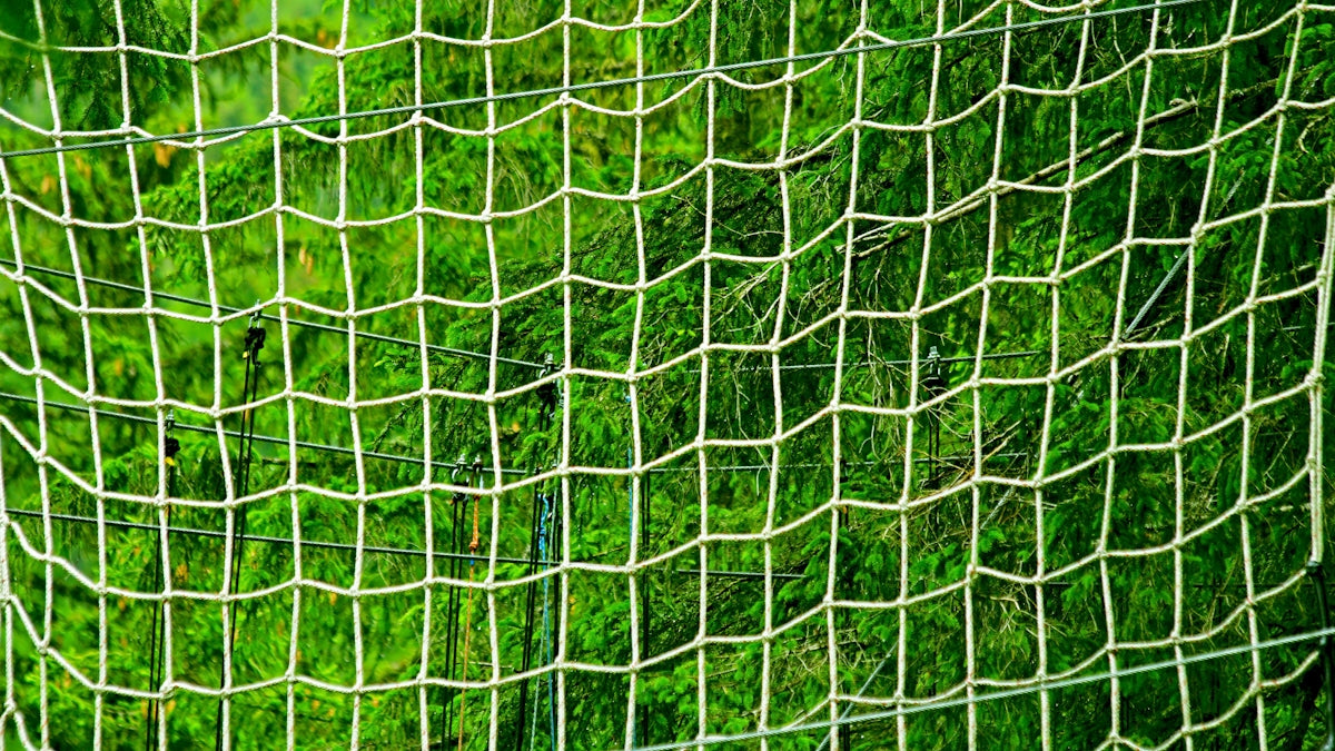 a close up of a green net with trees in the background