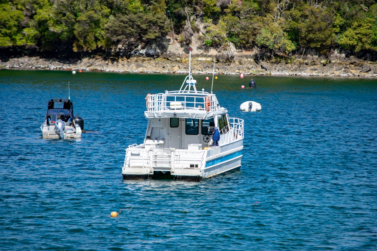 a white boat floating on top of a body of water
