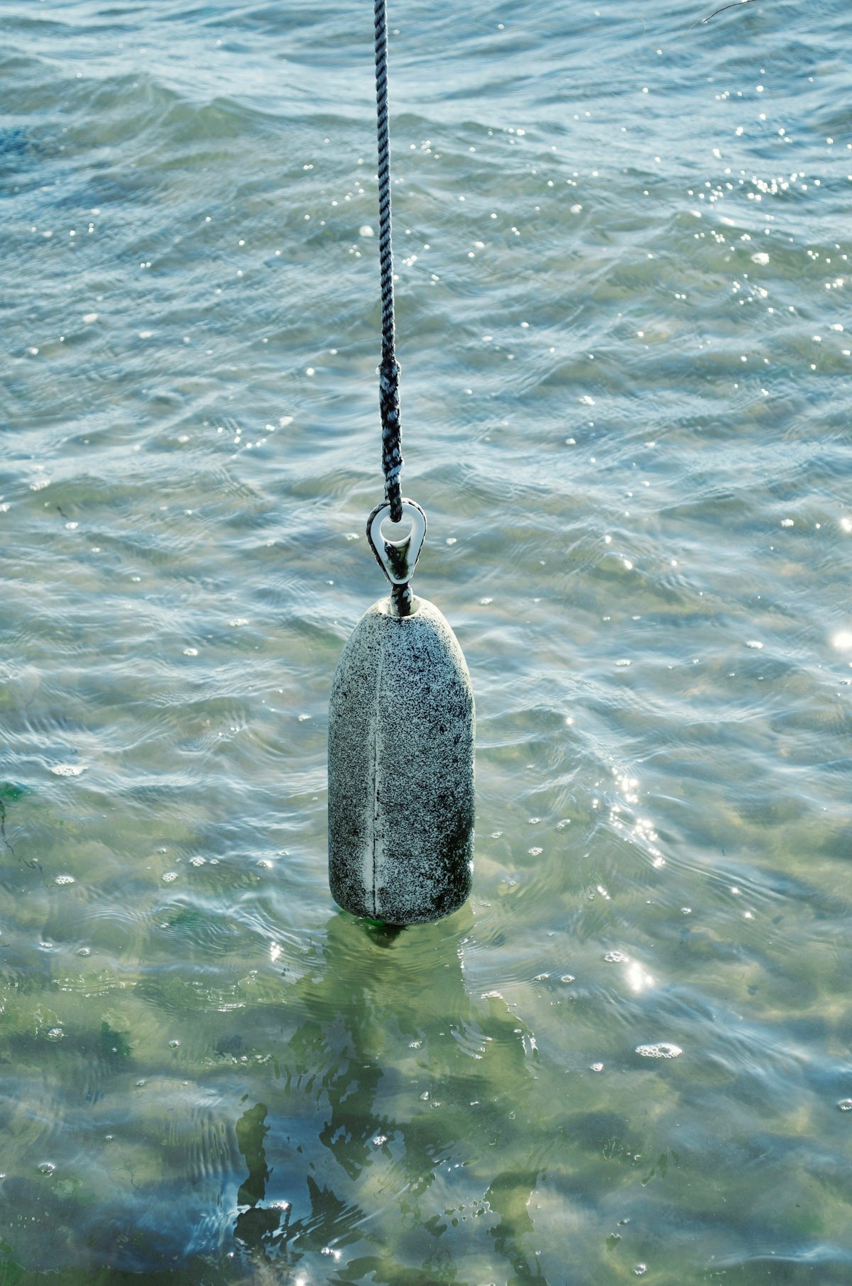 AFP-9 40m Mono Piper Bait Net 25mm, weighted bobber submerged in water.