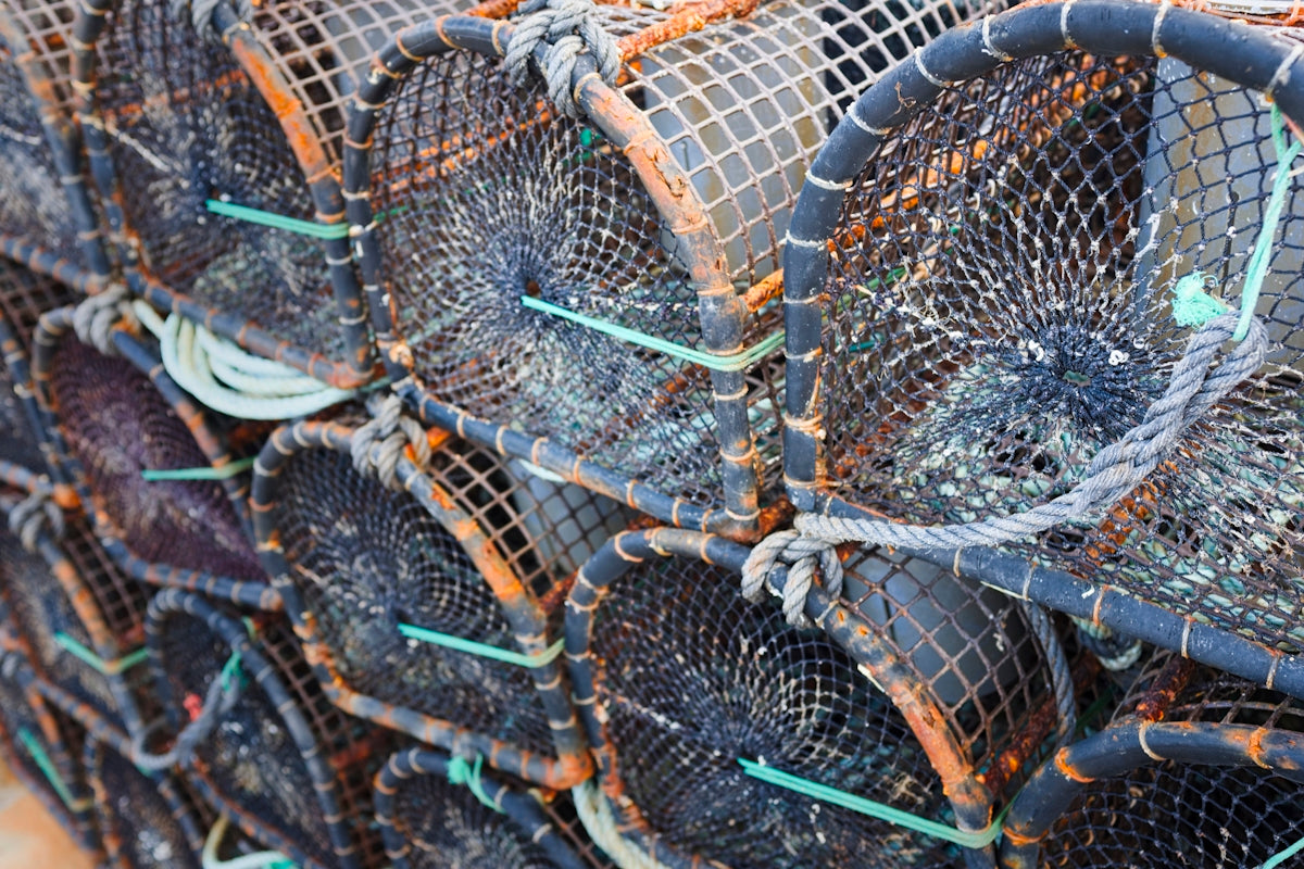 Close-up of flounder fishing mesh showcasing traps for a successful catch.