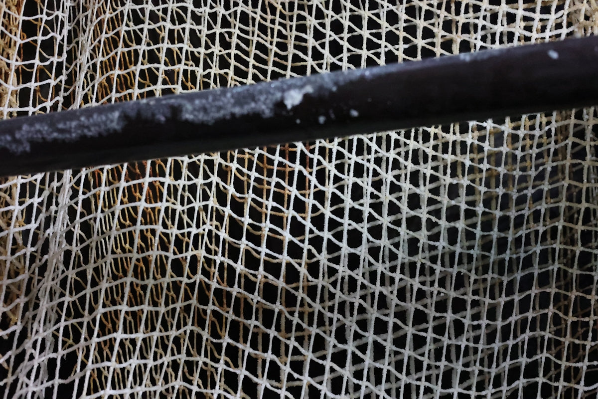 Close-up view of the AFP-10 50m Mono Piper Bait Net showing intricate netting details.