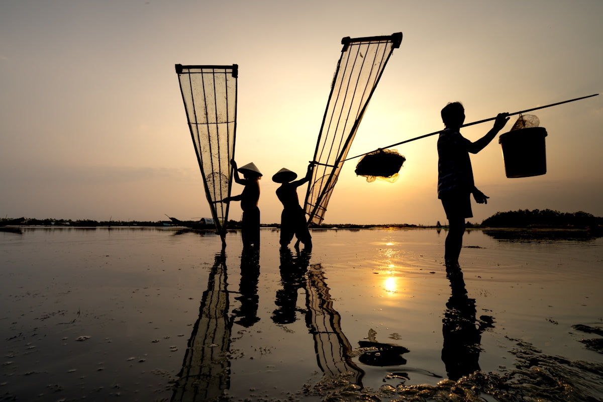 Silhouettes of fishermen using a Recreational Mullet Fishing Net during sunset by the water.