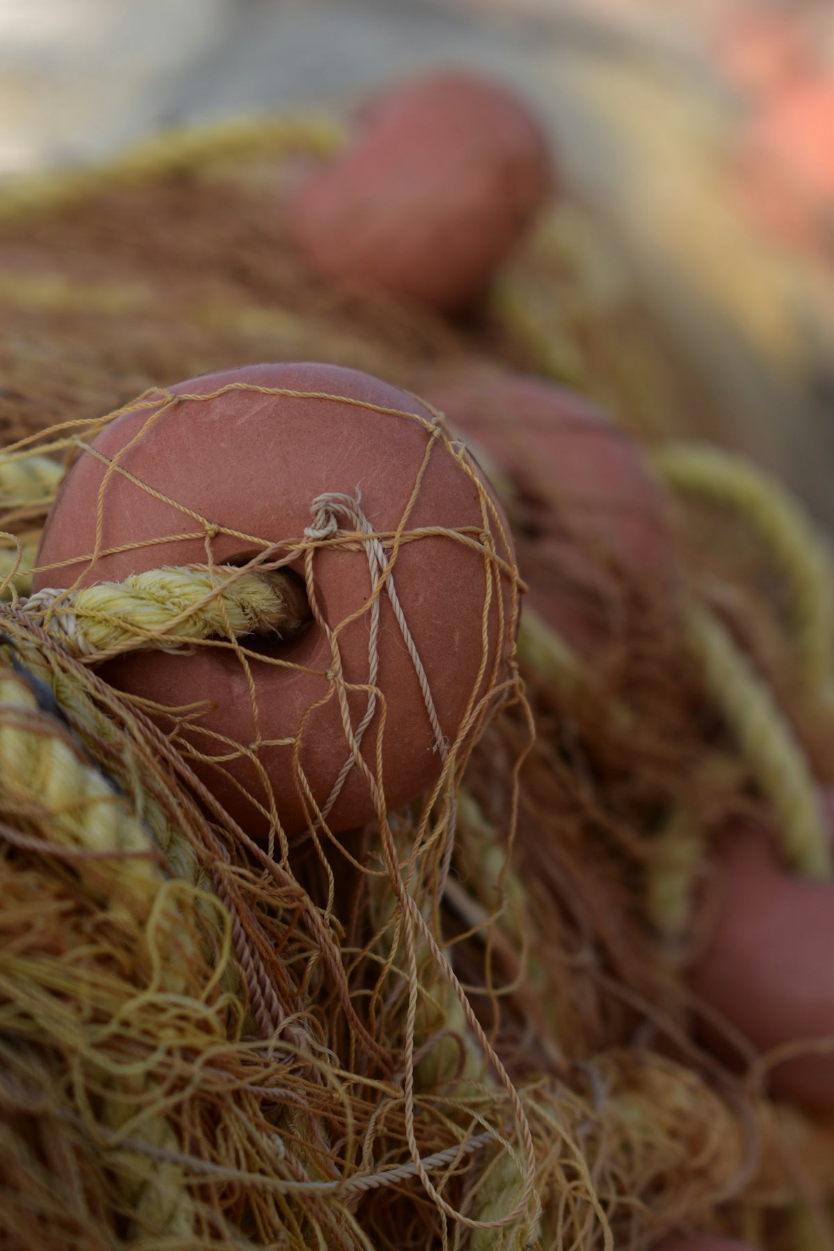 500gram Spool of 2.0mm White Nylon Flat Braid intertwined with fishing net and floats.