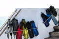 Essential Dive Knives for Anglers Safety and Efficiency