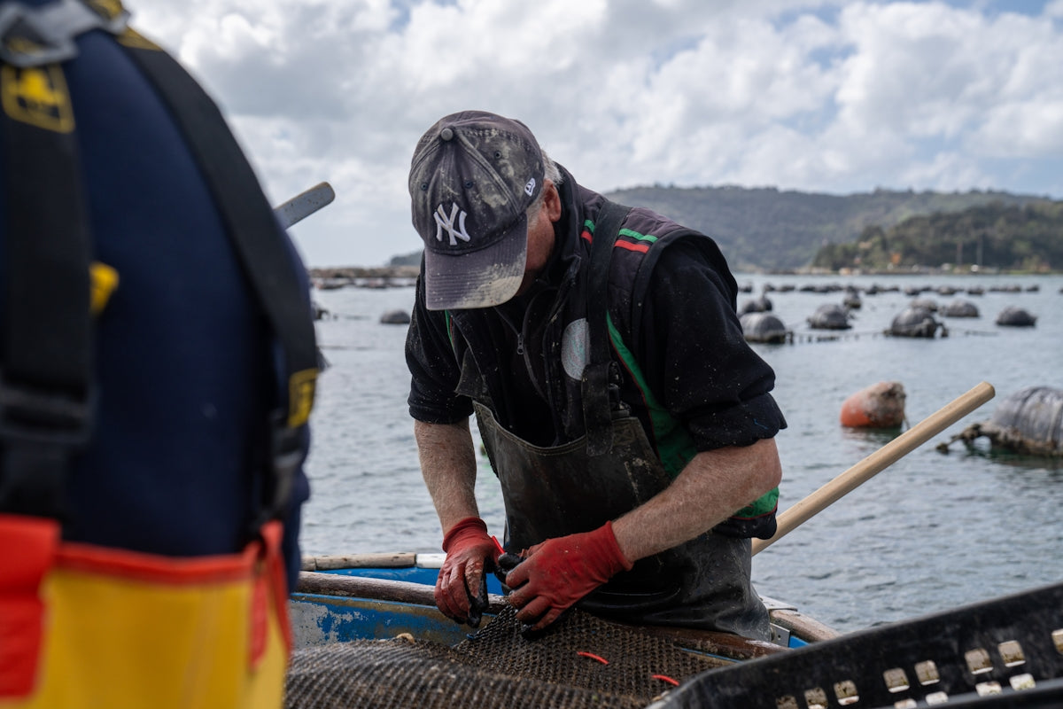 Fisherman using the AFP-6 Mono Piper Bait Net while working on a boat in the water.