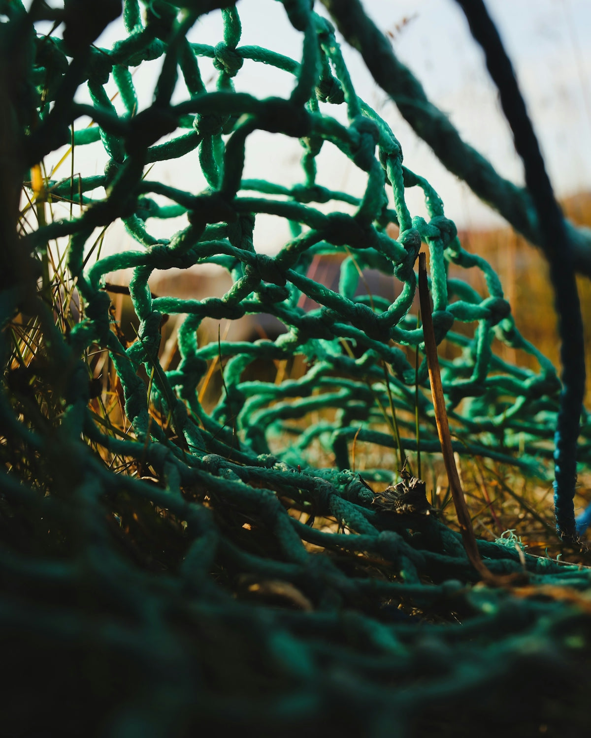 A close up of a green net in the grass