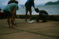 A group of people standing around a body of water