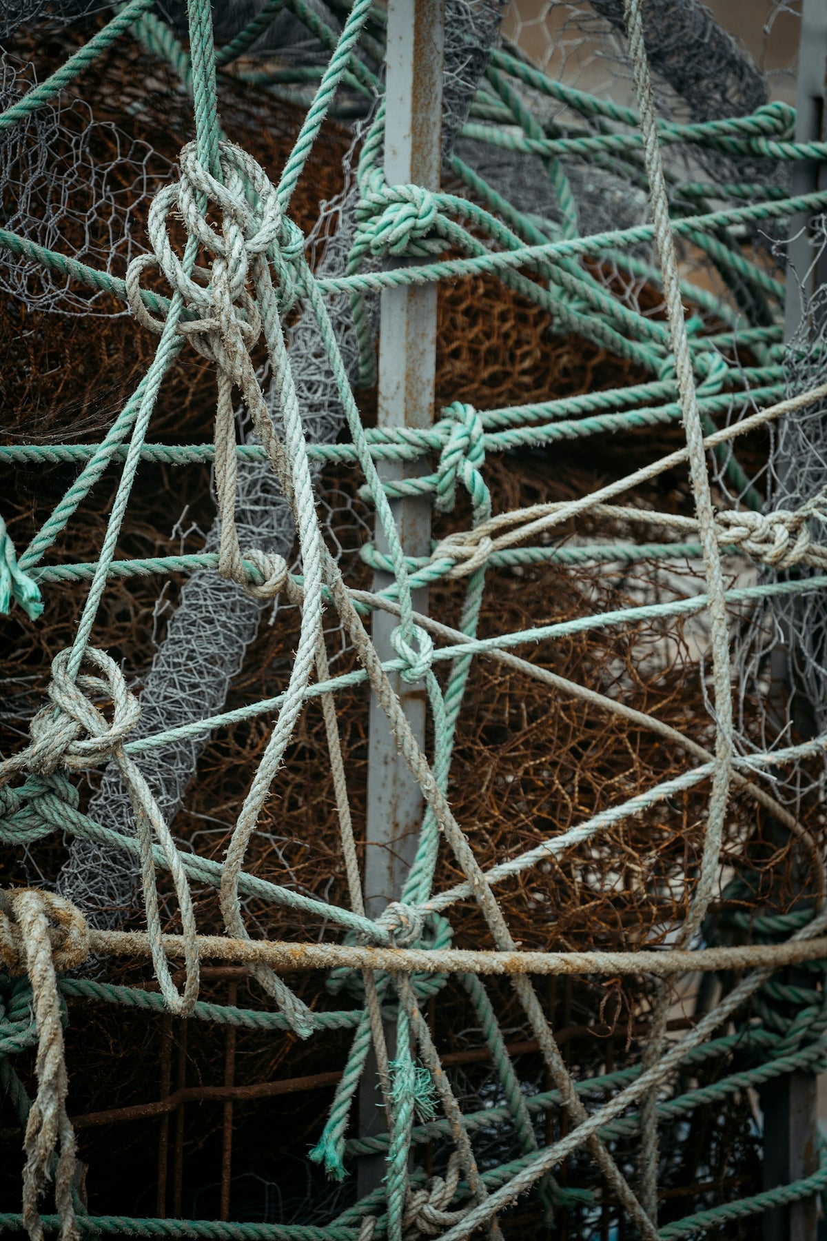 Ropes and netting are tangled in an intricate arrangement.