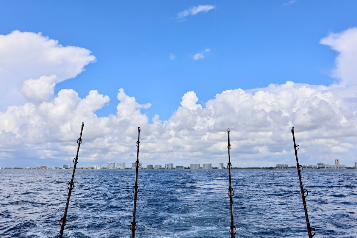 Four fishing rods on a boat with city skyline