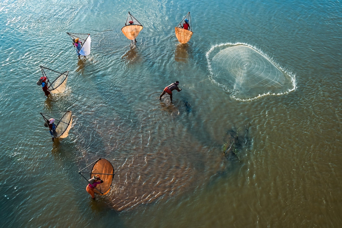 Fishermen casting nets in a body of water.