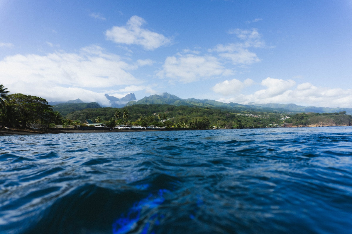 Tropical coastline with lush green mountains under blue sky.