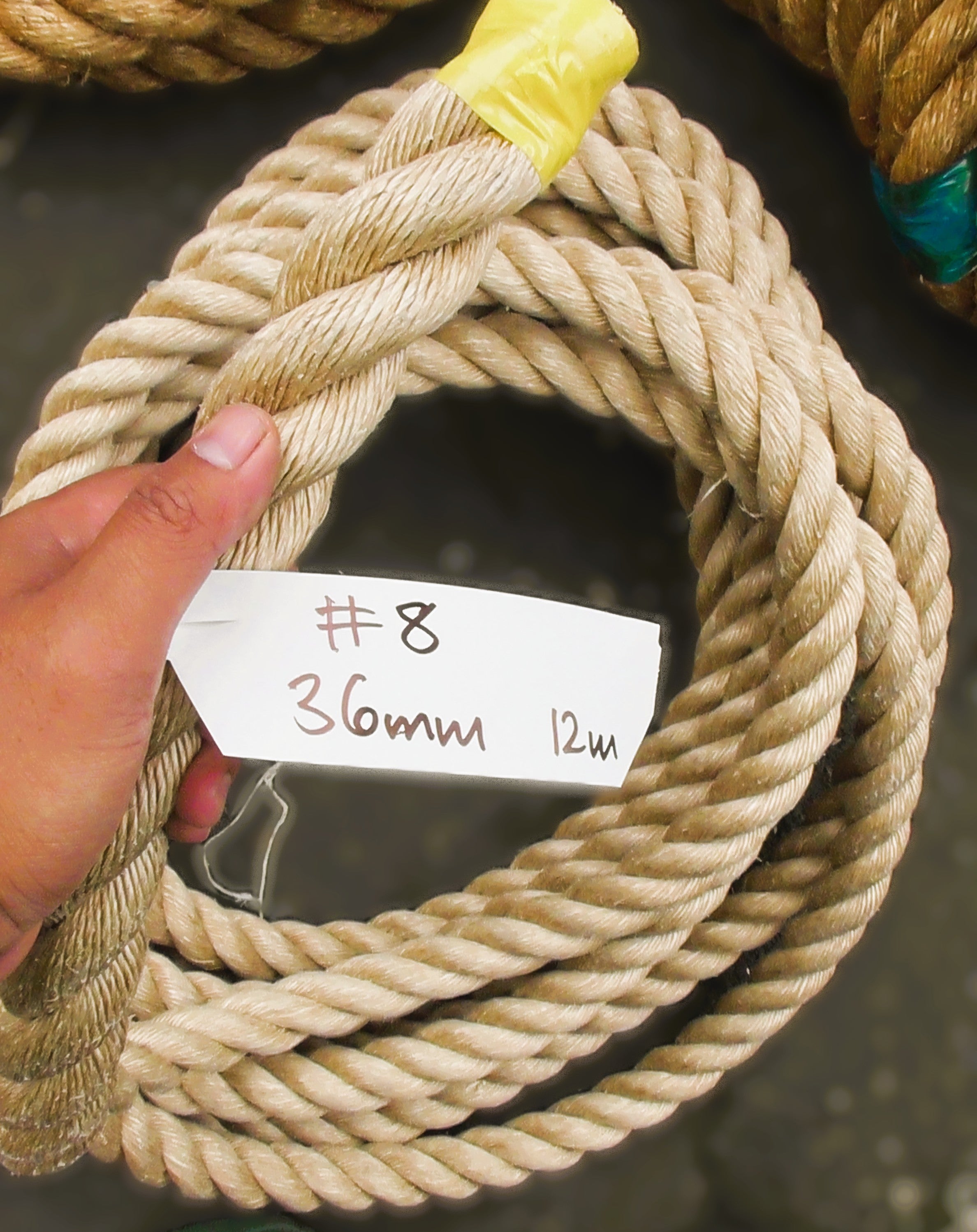 Special Pro-Manila Rope Shorts 36mm - 12m displayed with a hand holding a tag showing dimensions.
