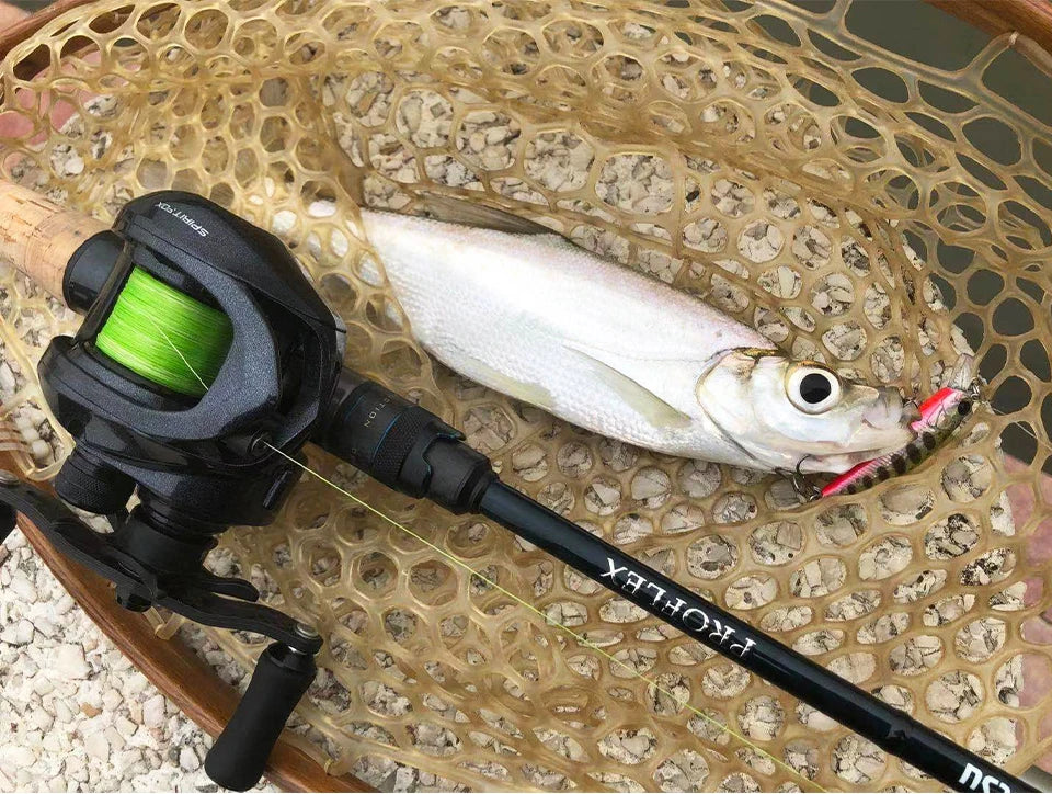 TSURINOYA Spirit Fox 50 Bait Finesse System Baitcasting Fishing Reel 7.3:1 Gear Ratio Carbon Fishing Coil For Light Game Trout - Action Outdoors Kiwi