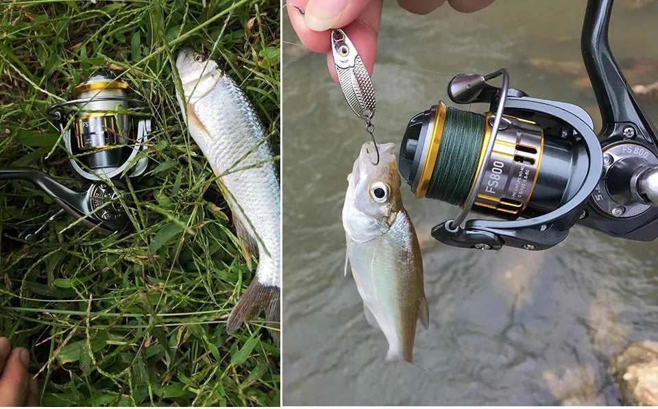 TSURINOYA Light Game Ultralight Spinning Fishing Reel FS 500 800 1000 9+1BB 4kg Drag Power Bait Finesse Stream Bass Trout Reel - Action Outdoors Kiwi