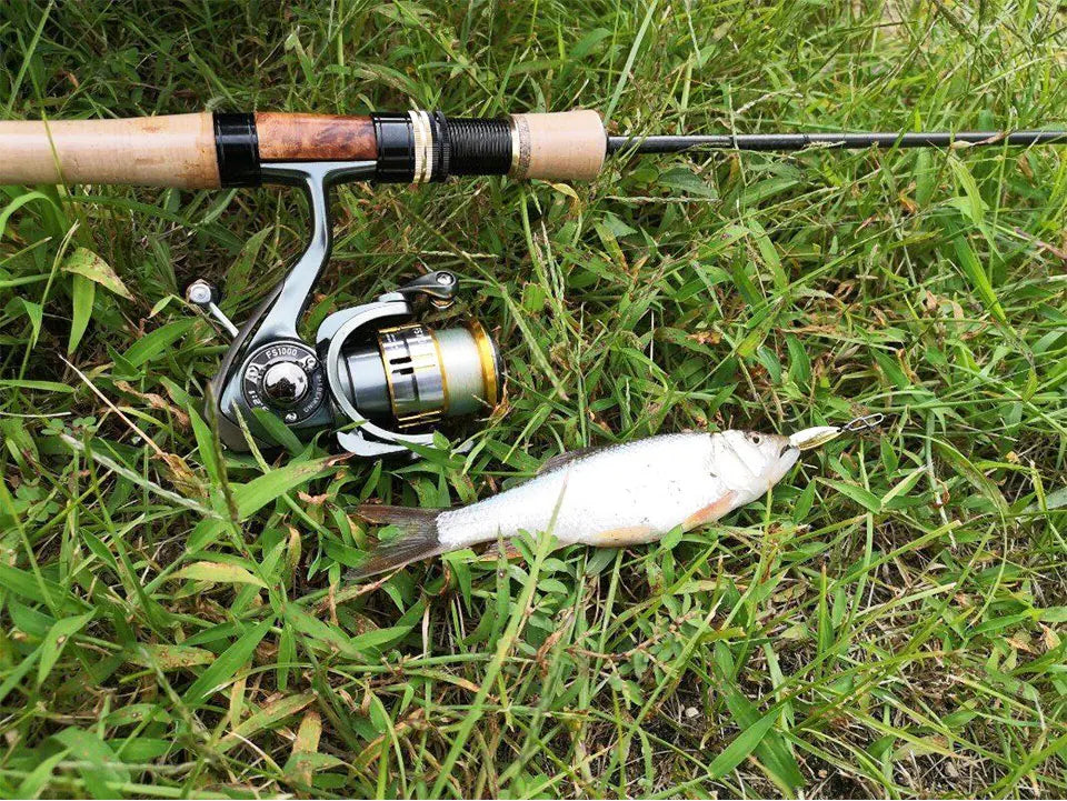 TSURINOYA Light Game Ultralight Spinning Fishing Reel FS 500 800 1000 9+1BB 4kg Drag Power Bait Finesse Stream Bass Trout Reel - Action Outdoors Kiwi
