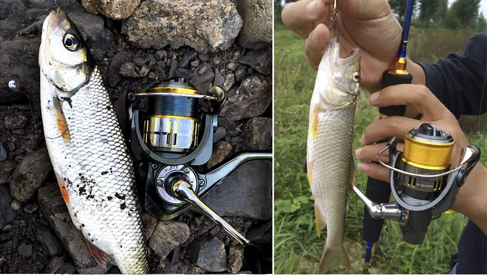 TSURINOYA Light Game Ultralight Spinning Fishing Reel FS 500 800 1000 9+1BB 4kg Drag Power Bait Finesse Stream Bass Trout Reel - Action Outdoors Kiwi
