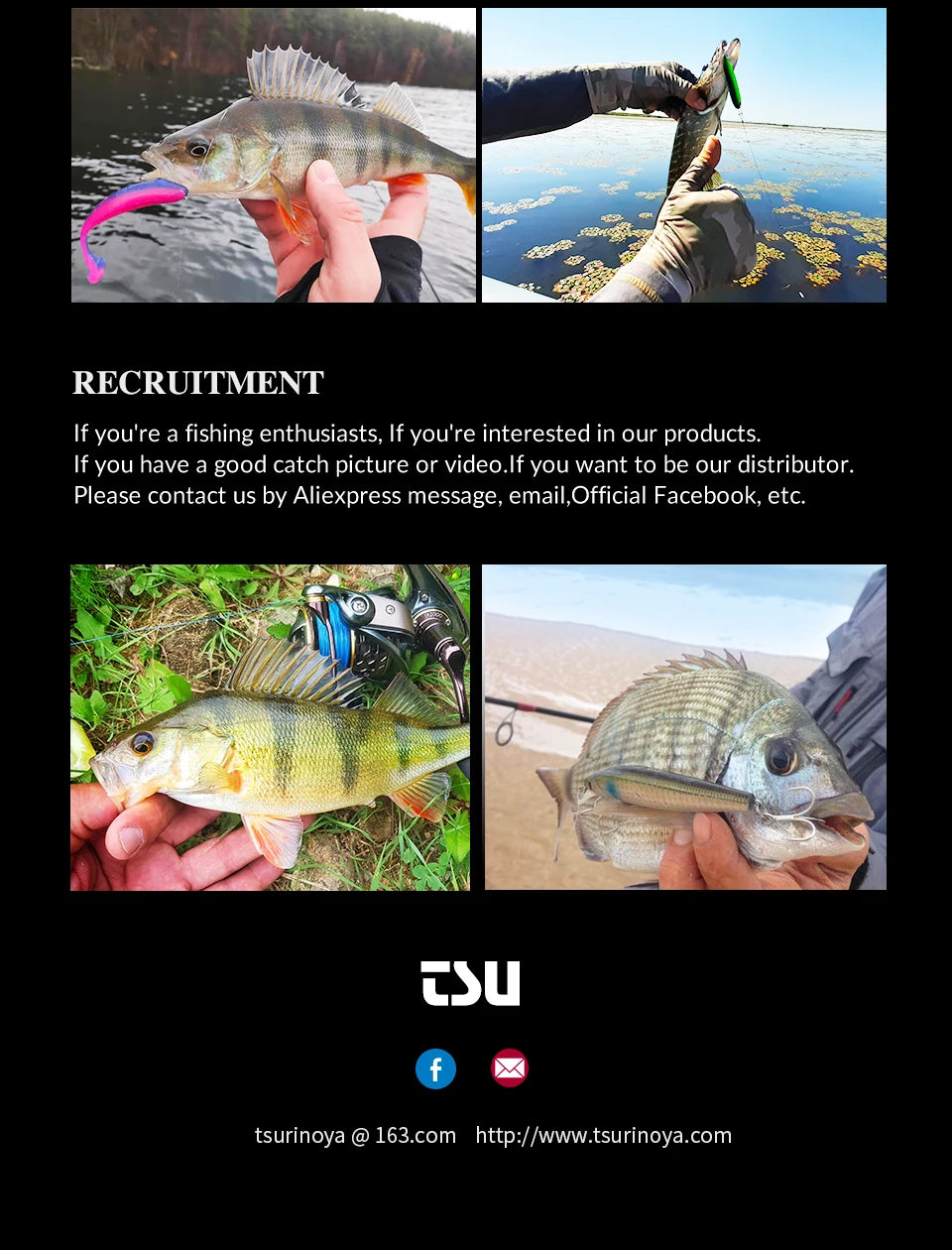 TSURINOYA Light Game Ultralight Spinning Fishing Reel FS 500 800 1000 9+1BB 4kg Drag Power Bait Finesse Stream Bass Trout Reel - Action Outdoors Kiwi