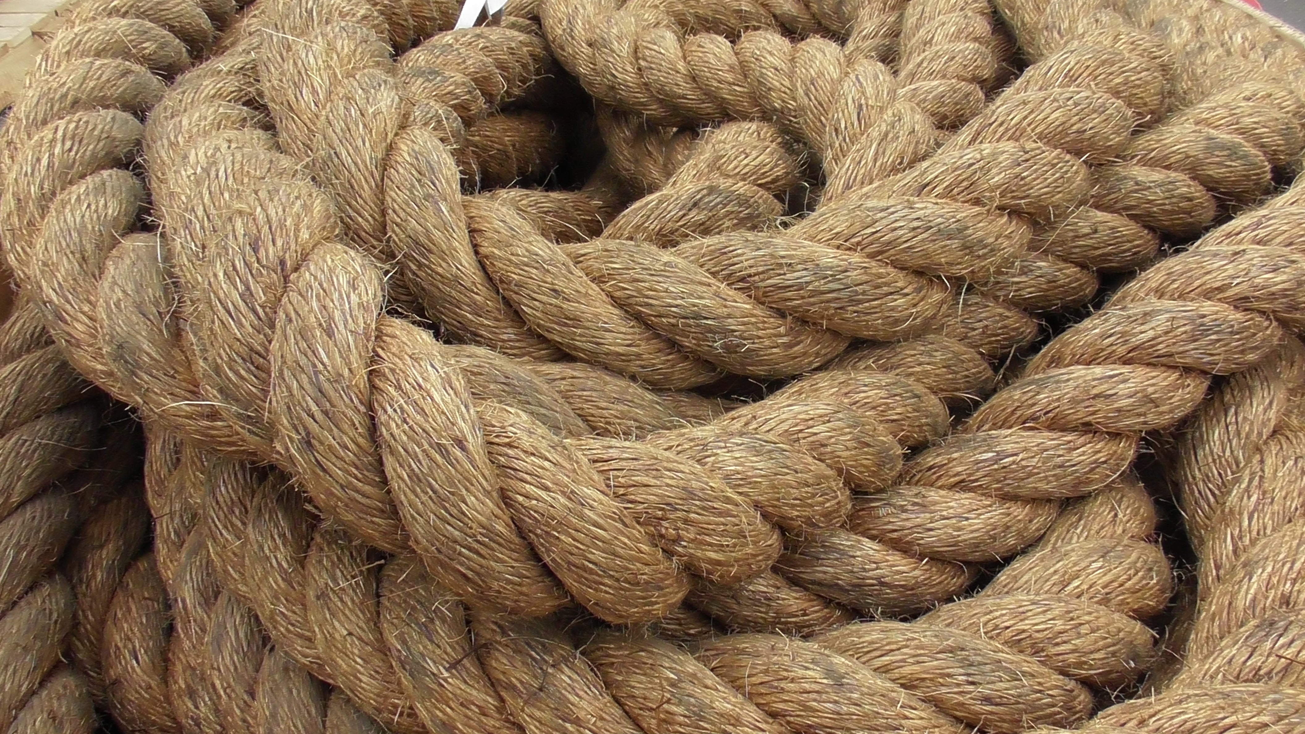 Special Manila Rope Shorts 56mm dia - Action Outdoors Kiwi