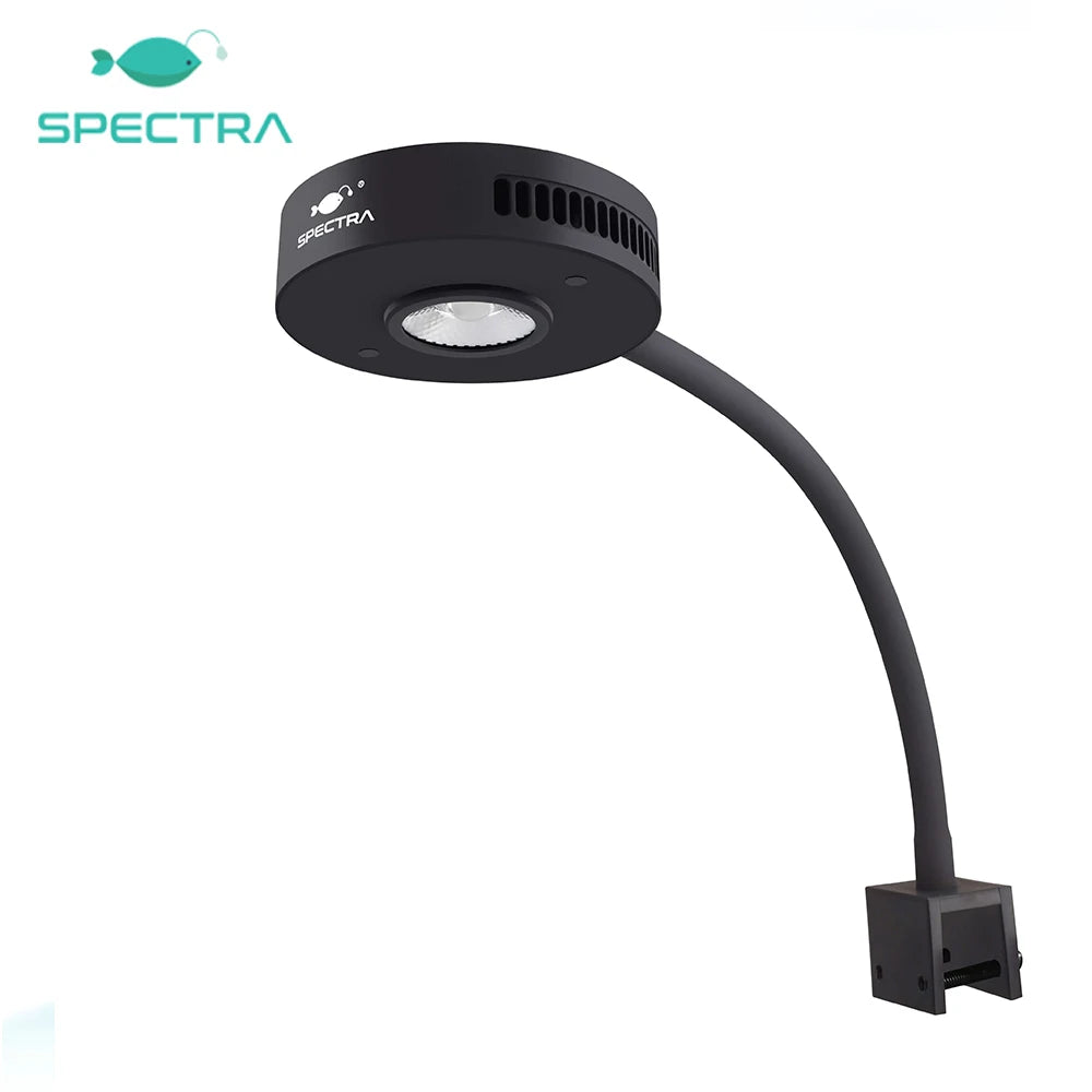 Spectra Aqua Knight V2 36W Full Spectrum Touch Control Built-in Timer Marine Coral Reef Saltwater Fish Tank Aquarium LED Light - Action Outdoors Kiwi
