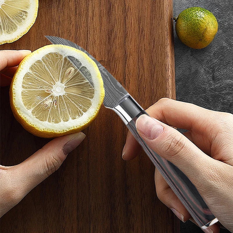 Kitchen Knife Chef Knives Meat Cleaver Fruit Vegetable Knife Slicing Knife Santoku Knife Damascus Pattern Cooking Cutter - Action Outdoors Kiwi