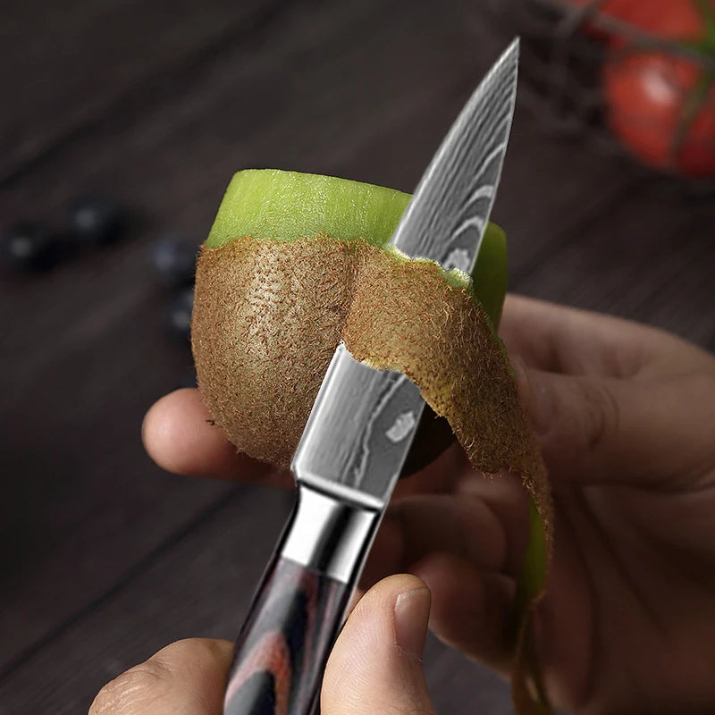 Kitchen Knife Chef Knives Meat Cleaver Fruit Vegetable Knife Slicing Knife Santoku Knife Damascus Pattern Cooking Cutter - Action Outdoors Kiwi