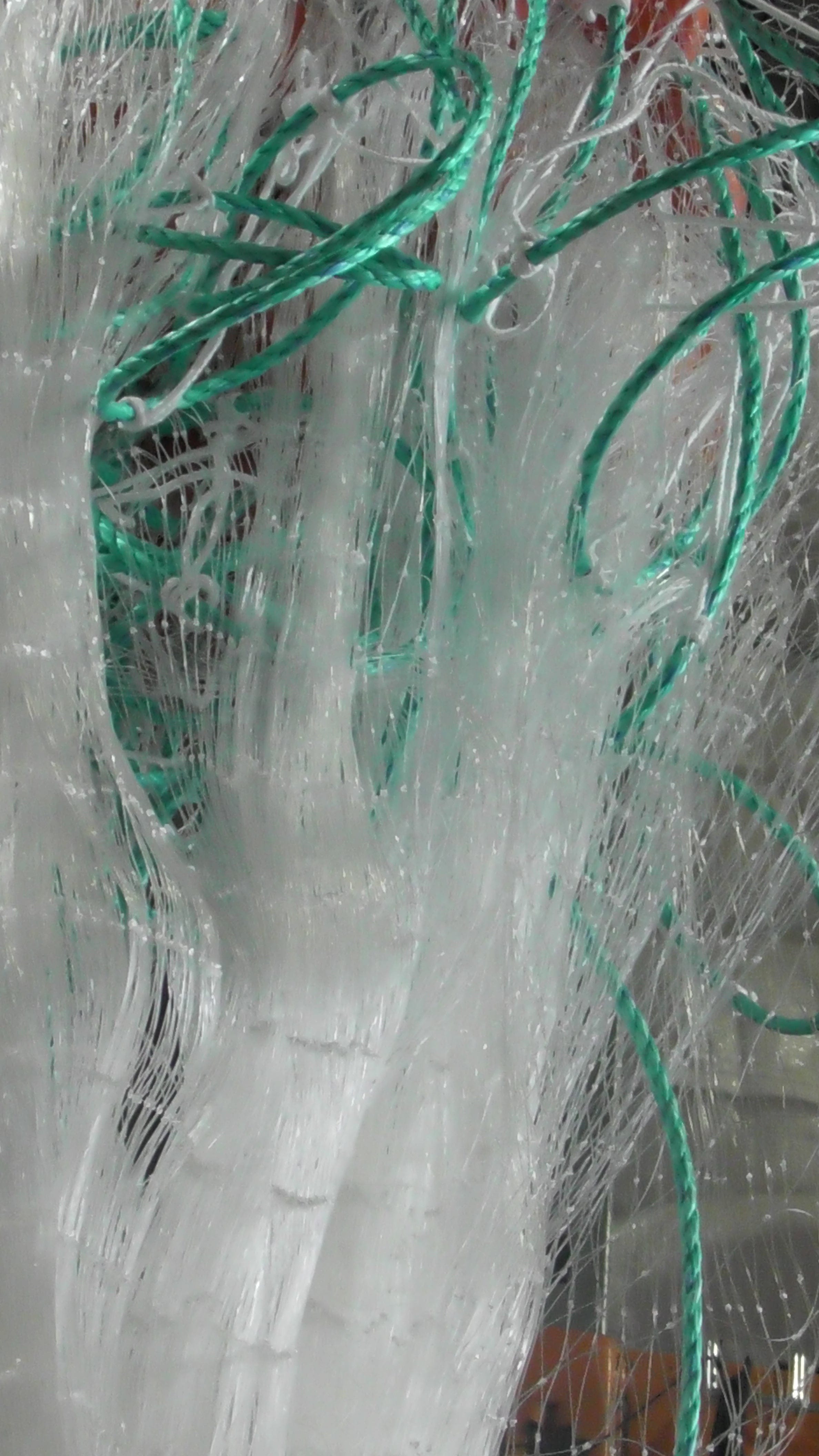 Action Fishing Nets Mullet Fishing Nets 0.5mm NZ & PI Mullet Fishing Mono Net 20m 30m 40m 50m 60m 100m