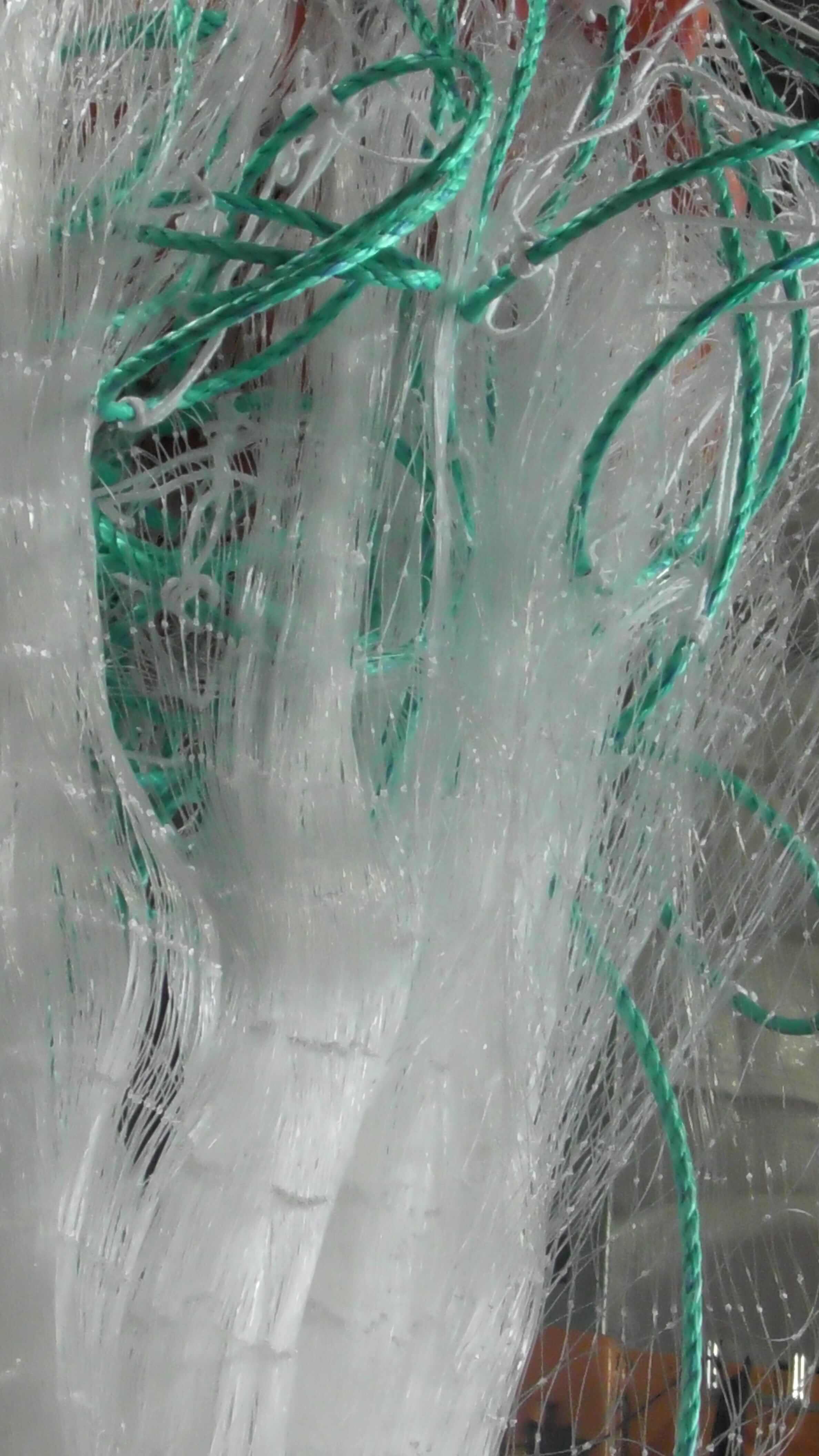 NZ mullet fishing nets showing durable mesh netting and rigging for effective fishing.