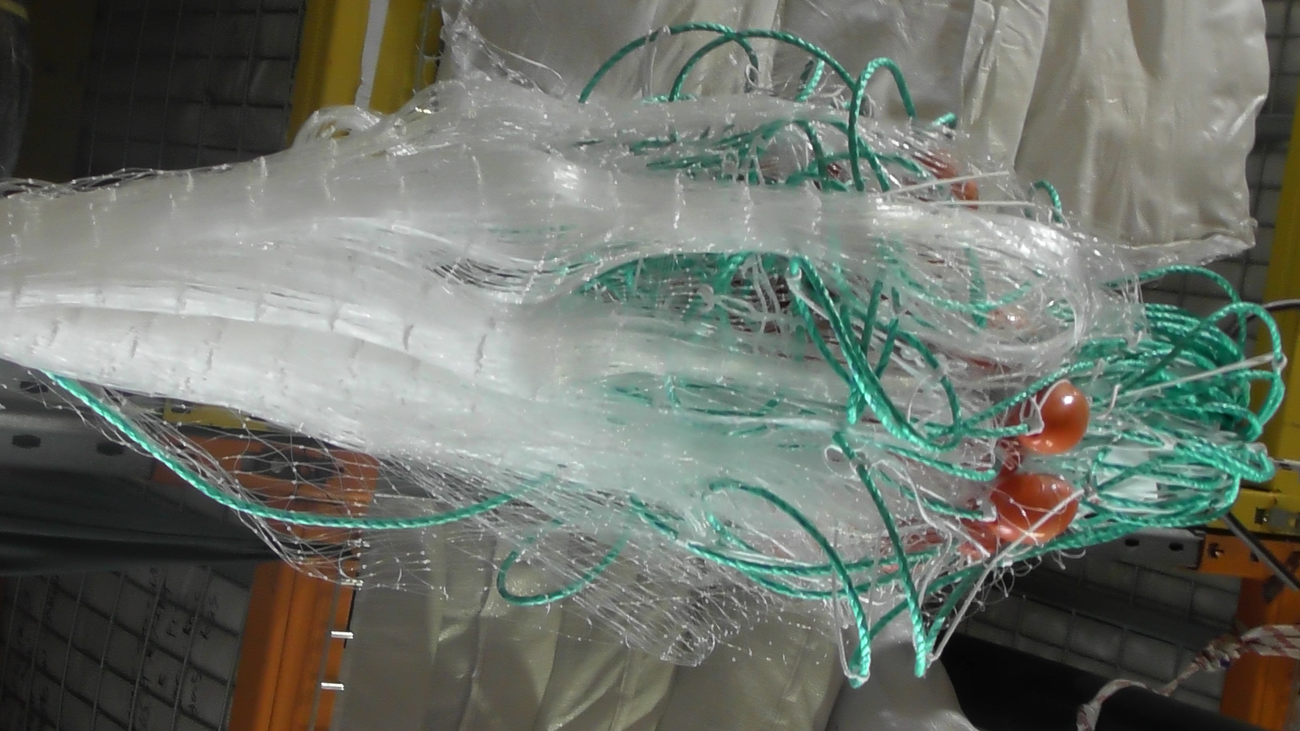 Action Fishing Nets Mullet Fishing Nets 0.5mm NZ & PI Mullet Fishing Mono Net 20m 30m 40m 50m 60m 100m