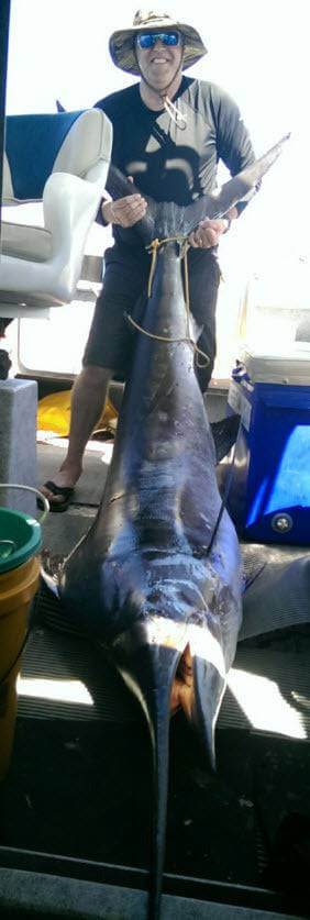 AFTCO Hunting & Outdoors Knives Aftco BOKER Fillet Knife 12inch 4116 German SS