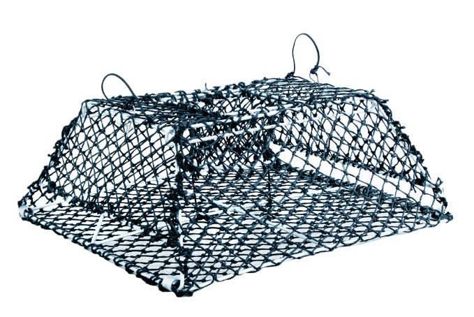 Bite Fishing Cray Pots Small Collapsible Cray Fishing Pot