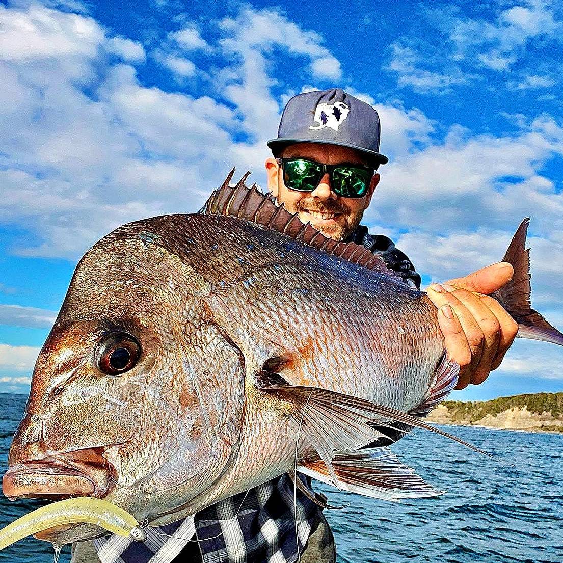 Catch Black Label Livies pk 4x7" Gr/Red Reaper - Action Outdoors Kiwi