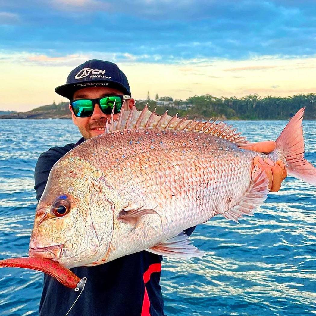 Catch Black Label Livies pk 4x7" Gr/Red Reaper - Action Outdoors Kiwi