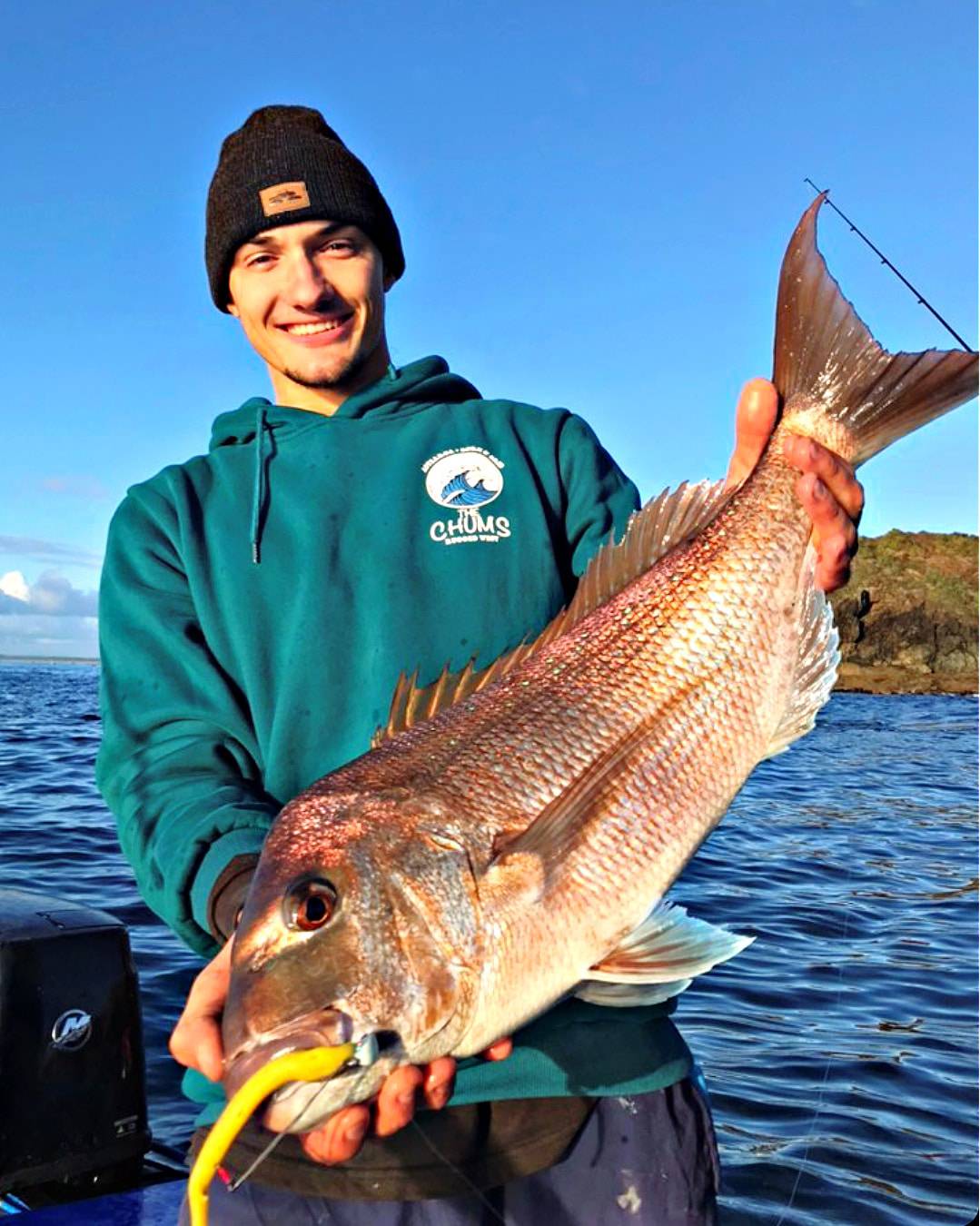 Catch Black Label Livies pk 4x7" Gr/Red Reaper - Action Outdoors Kiwi