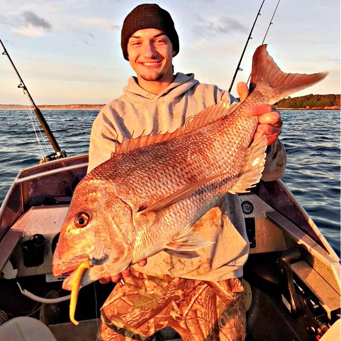 Catch Black Label Livies pk 4x7" Gr/Red Reaper - Action Outdoors Kiwi