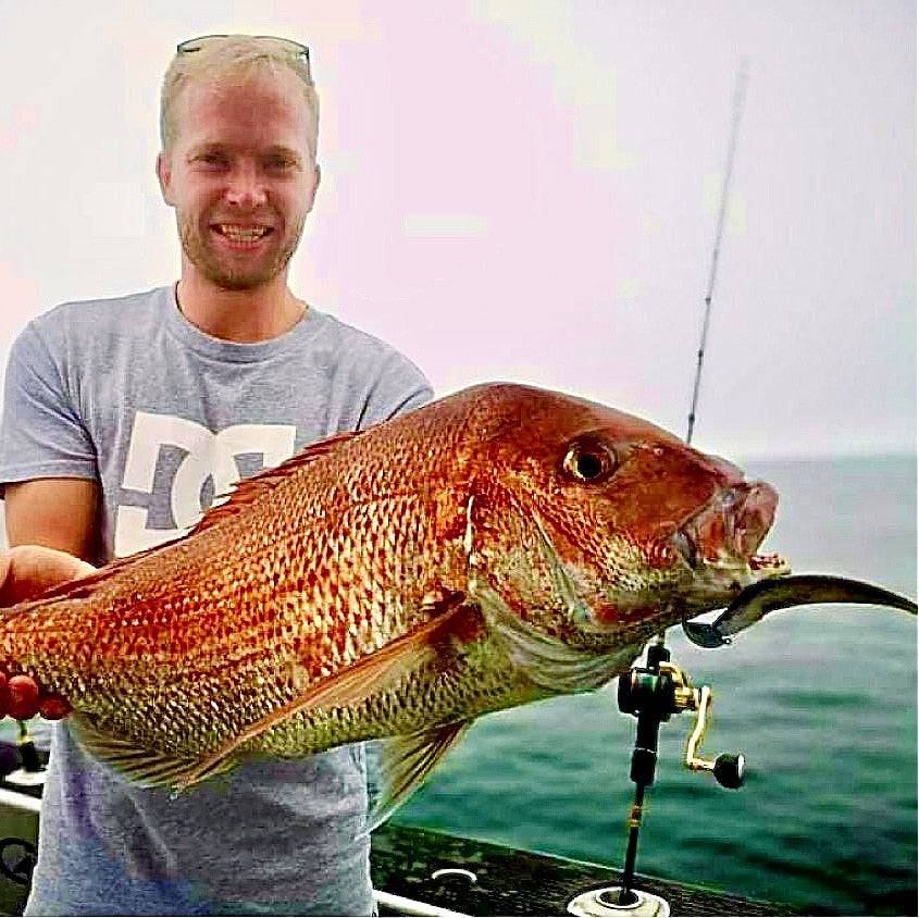 Catch Black Label Livies pk 4x7" Gr/Red Reaper - Action Outdoors Kiwi