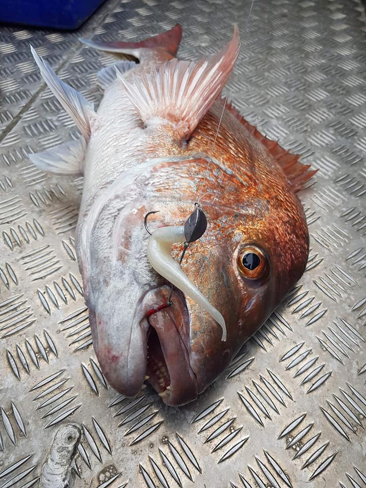 Catch Stingaz Tenya Jig Heads with Gripper 28g - Action Outdoors Kiwi